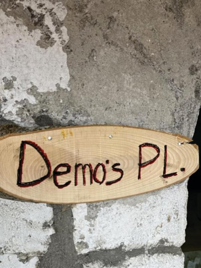 Demo'S Place Gusinje Buitenkant foto